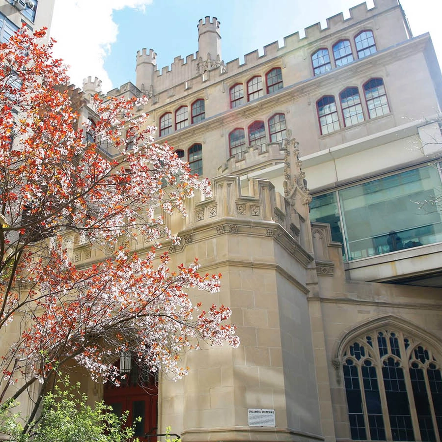 Hunter college campus in the springtime is framed by a blooming tree